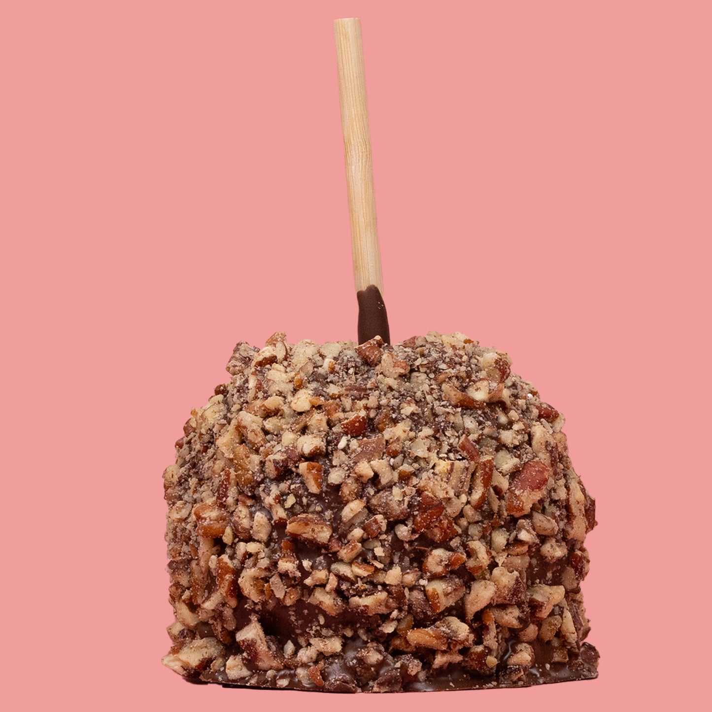 Chocolate Pecan-2 Pack